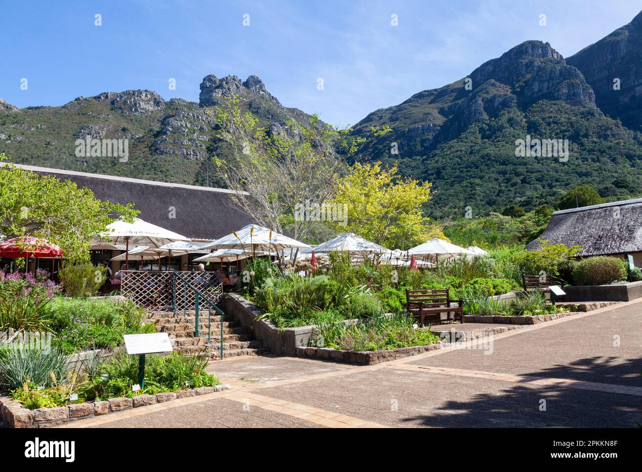 Restaurant at Kirstenbosch Botanical Garden, Cape Town, Western Cape, South Africa with a view to Table Mountain and Castle Rock with tourists eating Stock Photo