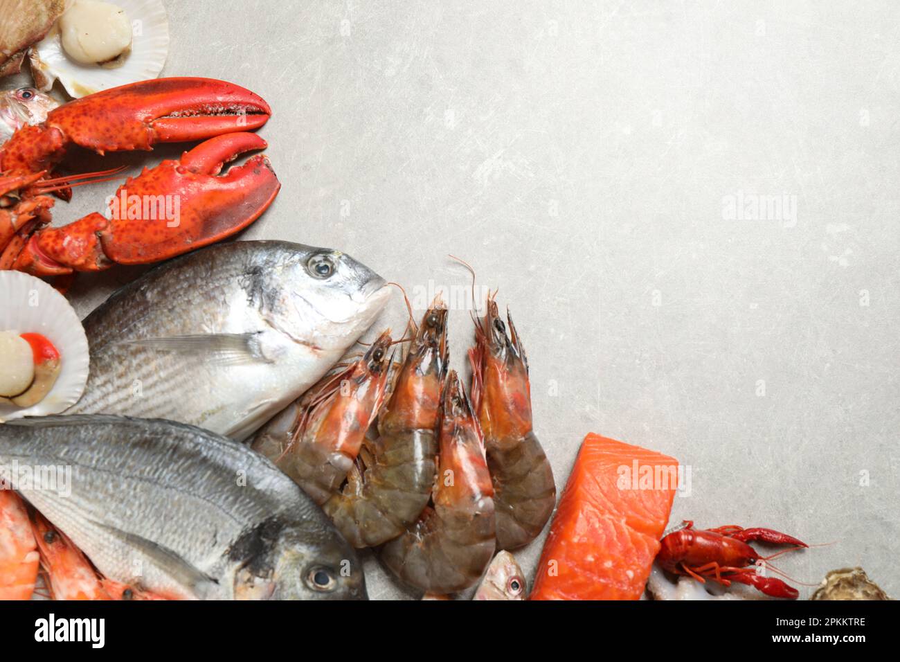 Fresh fish and seafood on marble table, flat lay. Space for text Stock ...
