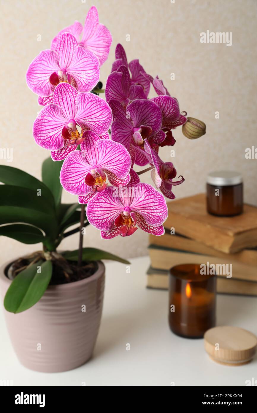 Beautiful blooming orchid, books and burning candle on white table Stock Photo