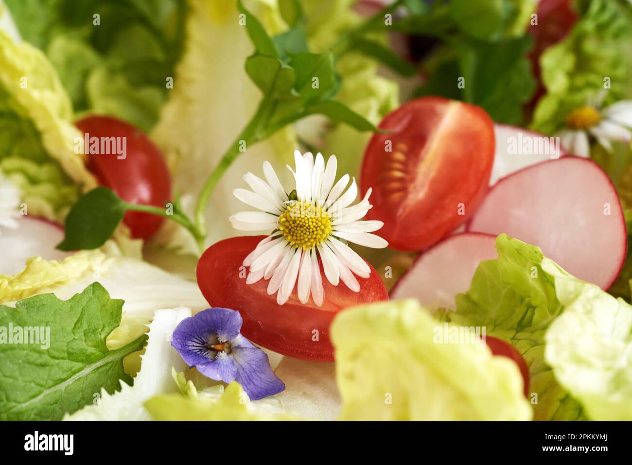 Closeup of a wild edible flowers in vegetable salad in spring Stock Photo