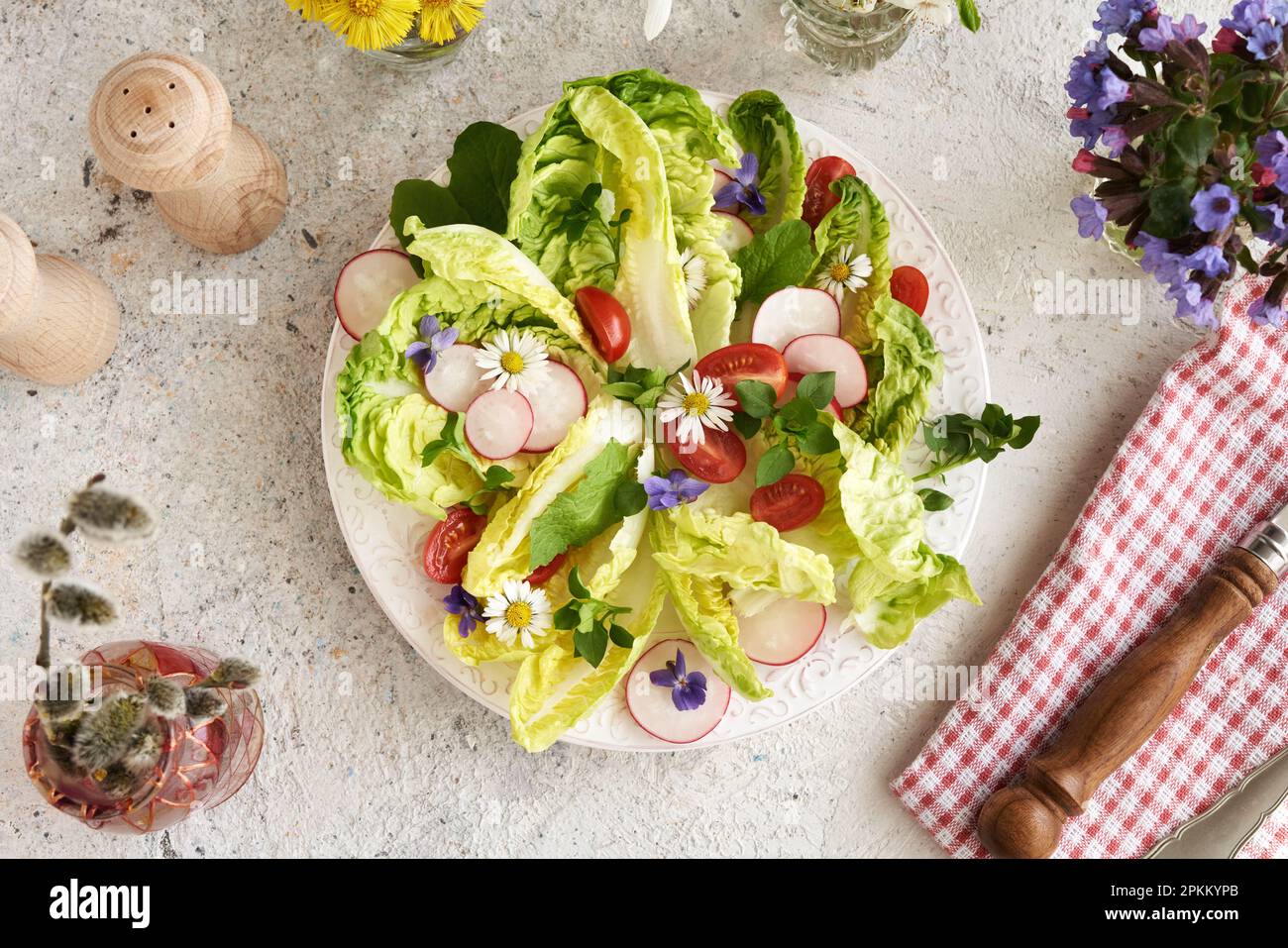 Fresh vegetable salad with chickweed, common daisy, nipplewort and