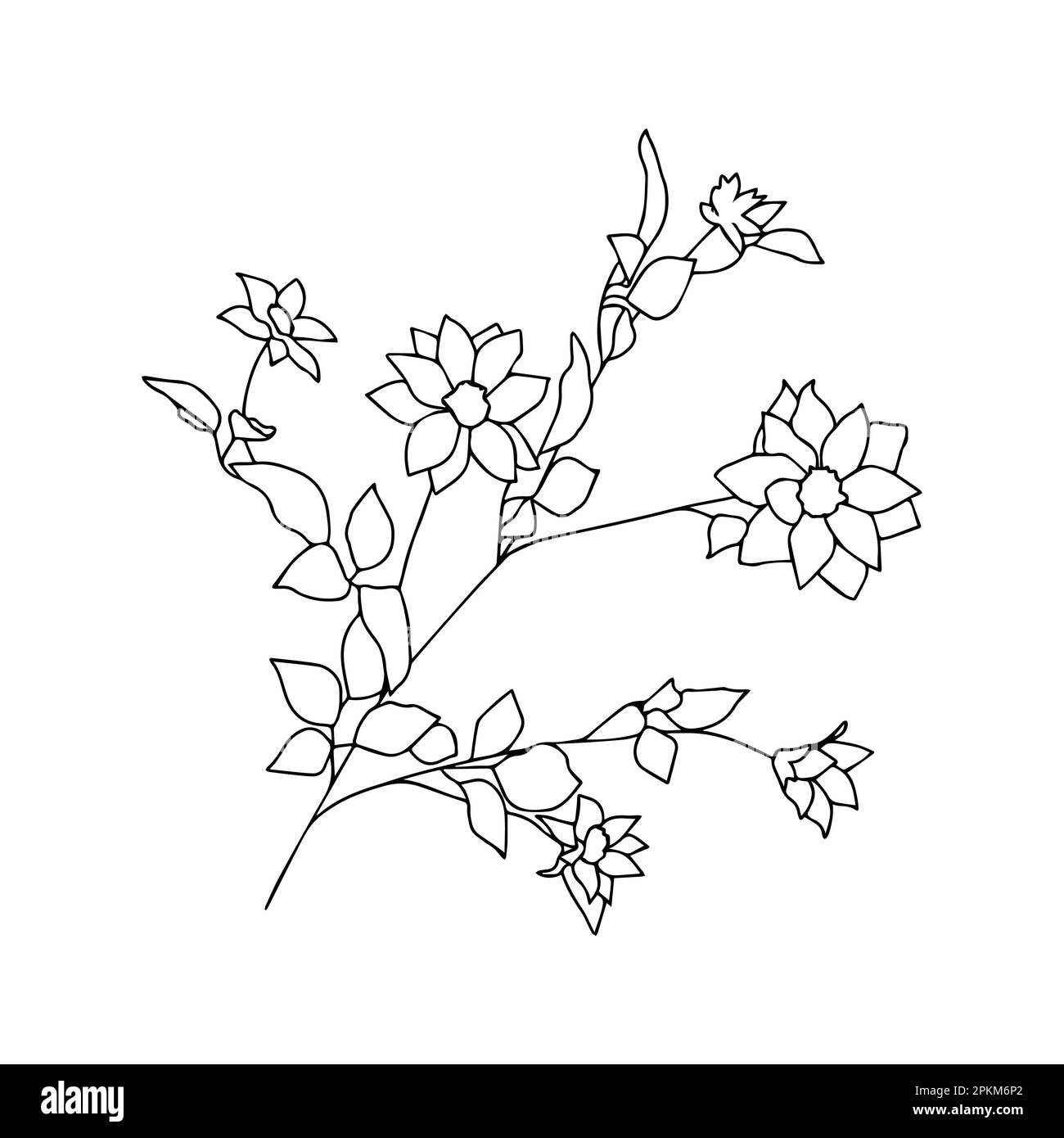 Flower line art. Minimalist contour drawing. Line art. Vector Stock ...