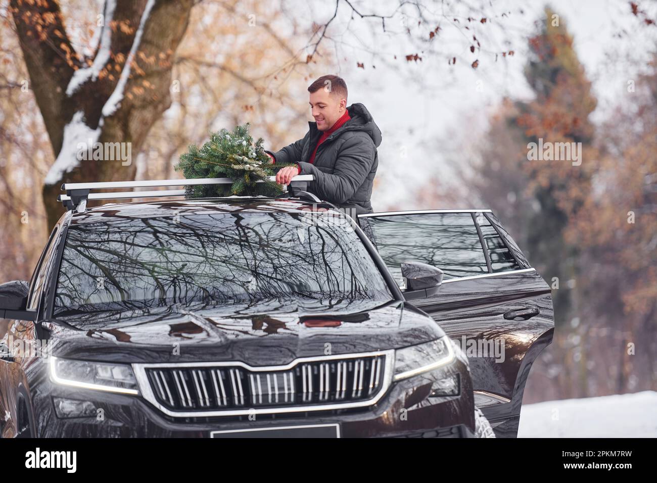 In the forest. Man with little green fir is outdoors near his car. Conception of holidays. Stock Photo