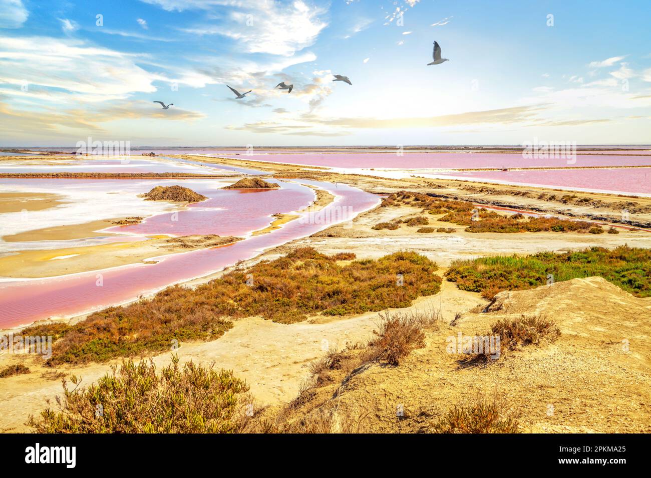 Salt Production Aigues Mortes France Stock Photo Alamy salt-production-aigues-mortes-france-stock-photo-alamy