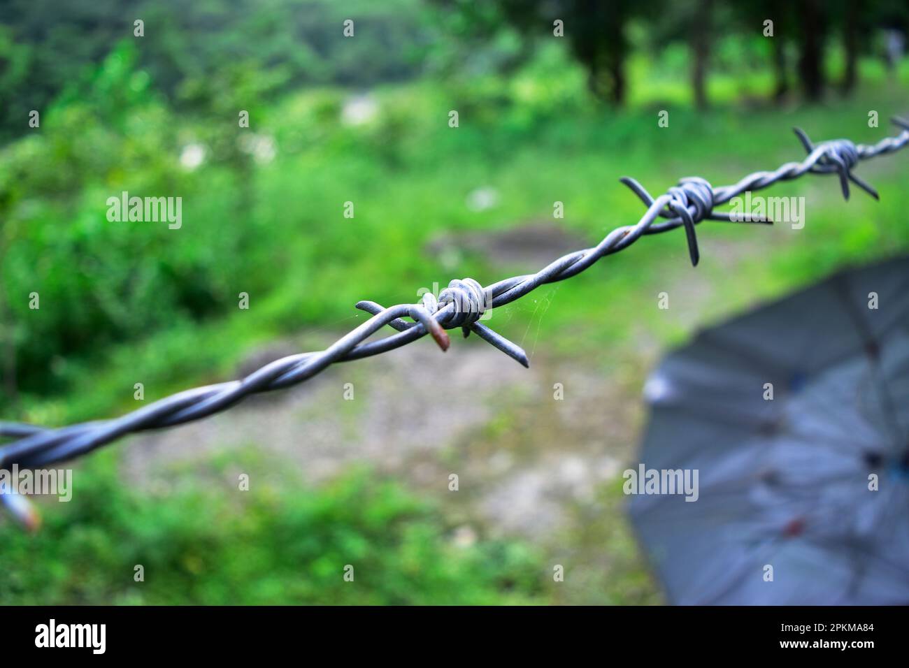 Closeup of fence wire at restricted area Stock Photo - Alamy