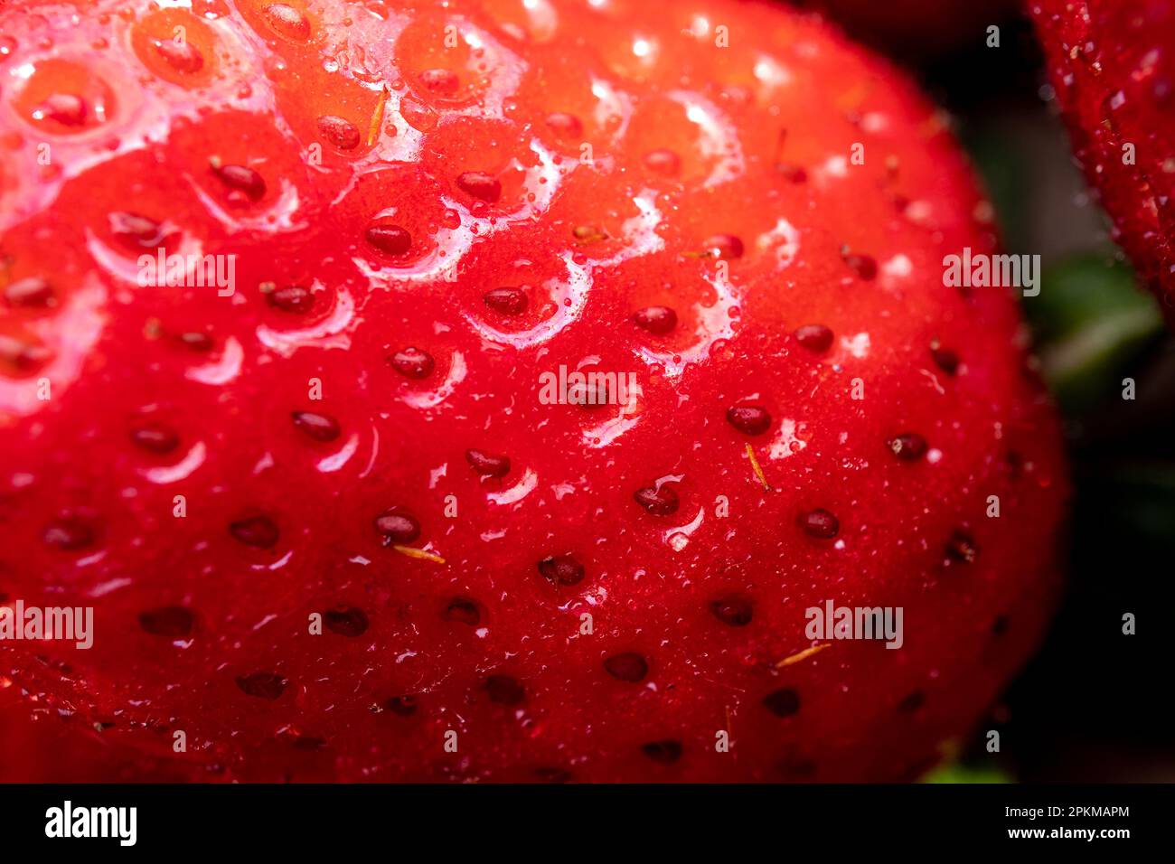 Fotografía macro de la superficie de una fresa roja con sus semillas Stock Photo