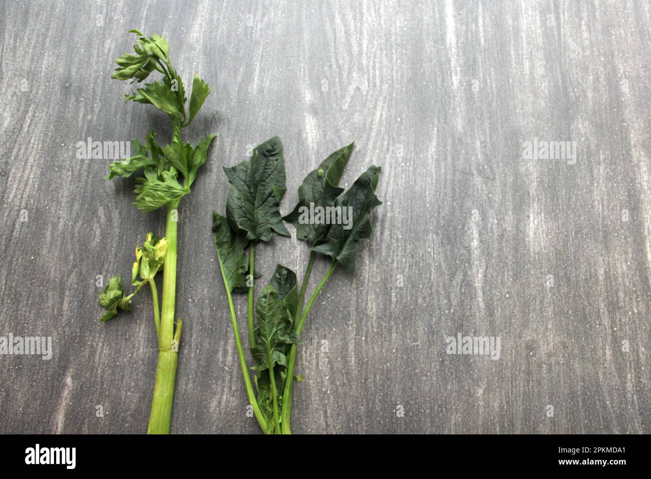 Fresh Parsley with a Chopping Blade Stock Photo - Image of garnish, table:  29760472