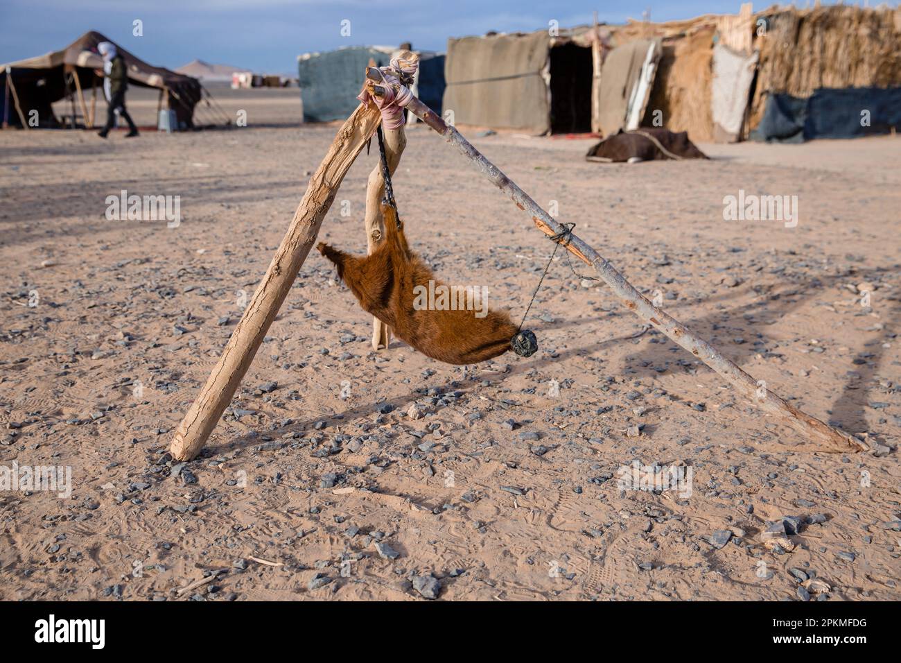 A water canteen made from an animal in a berber village in the Sahara