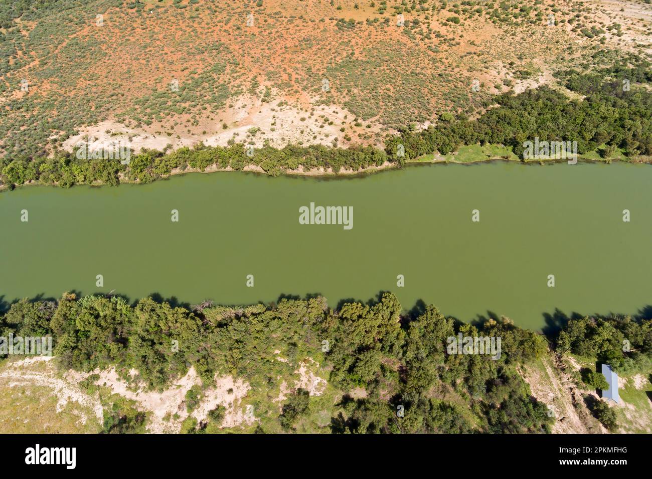 Northern Cape Rivers View of the Vaal River and riverine vegetation in the Northern Cape ...
