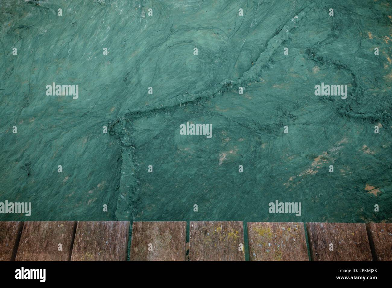 Nature background made up of seaweed deposited on the sand under the wooden boards of a pier Stock Photo