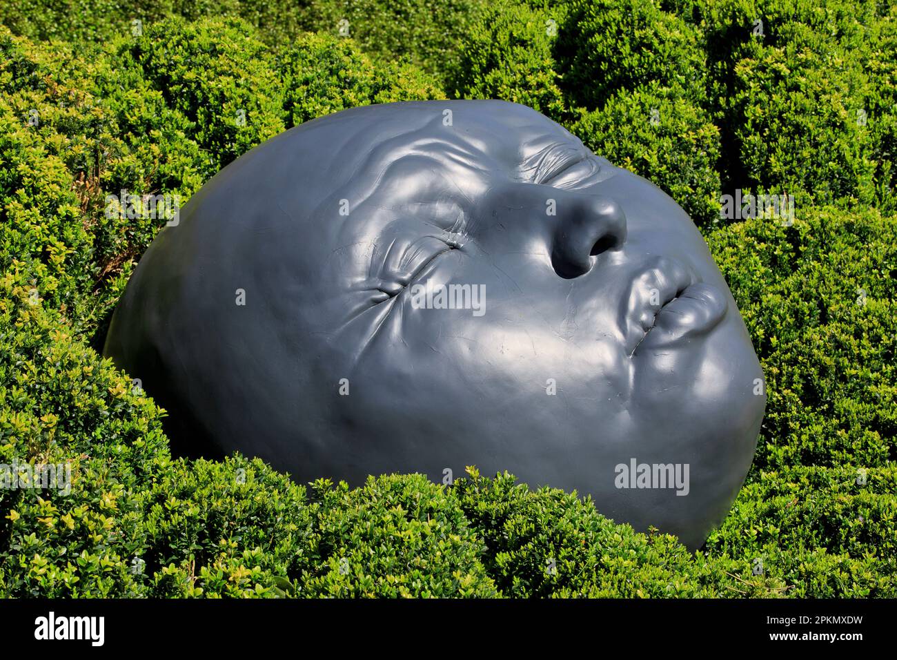 Drops of Rain (large faces depicting various human emotions) by Spanish