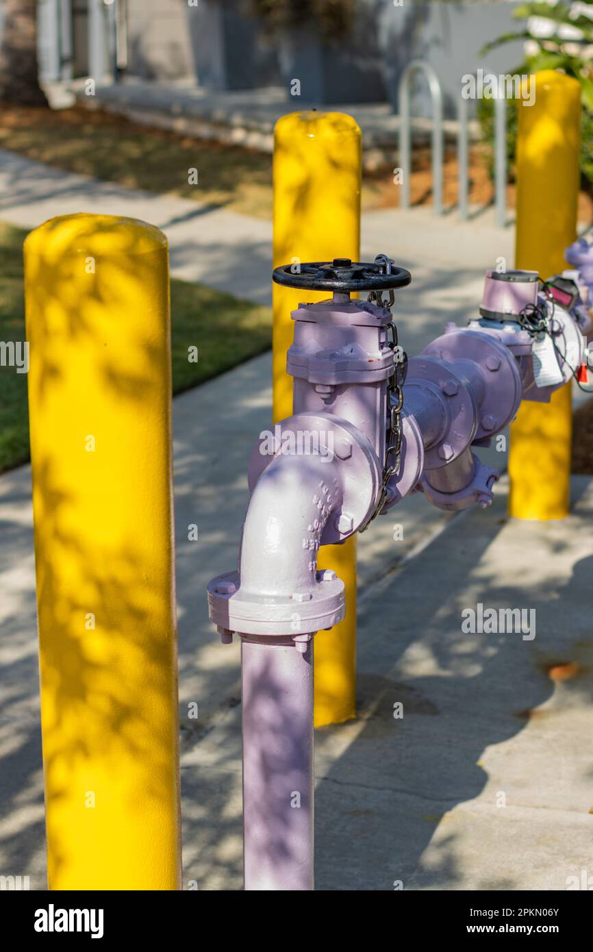 A picture of a pink and yellow fire hydrant in the lake Nona area