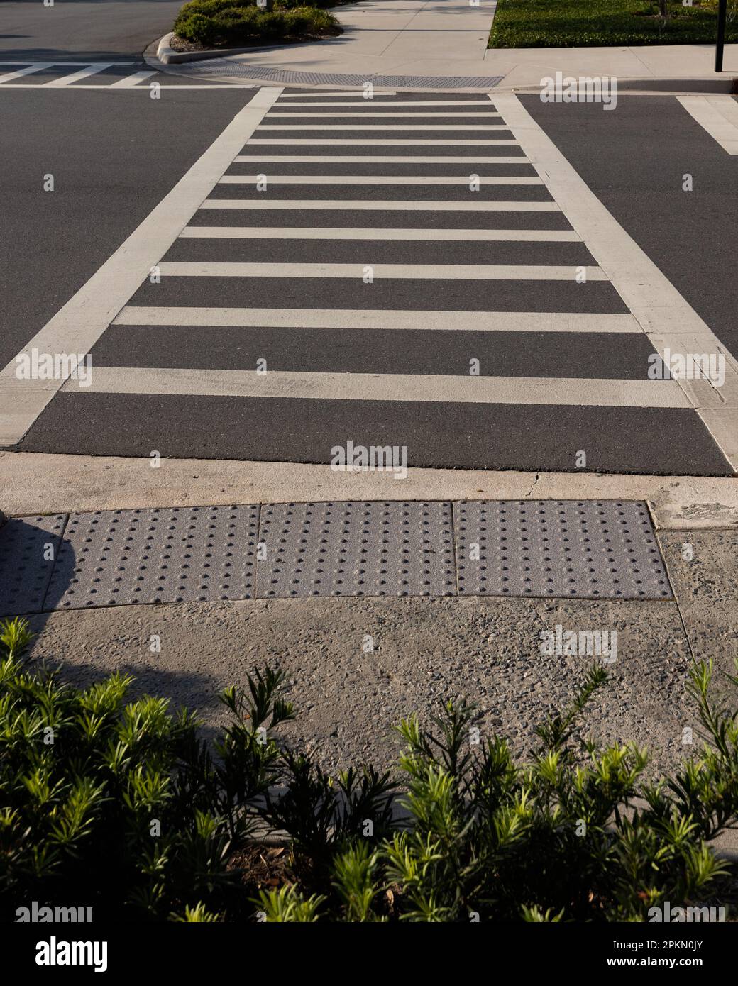 A picture of a white-painted crosswalk on the road, sunny day. Taken in the Lake Nona area, Florida. Stock Photo
