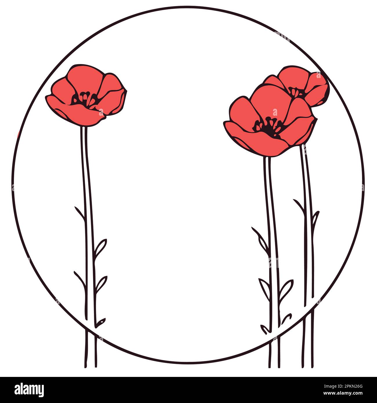 frame with red poppy flowers minimalist vector illustration Stock ...
