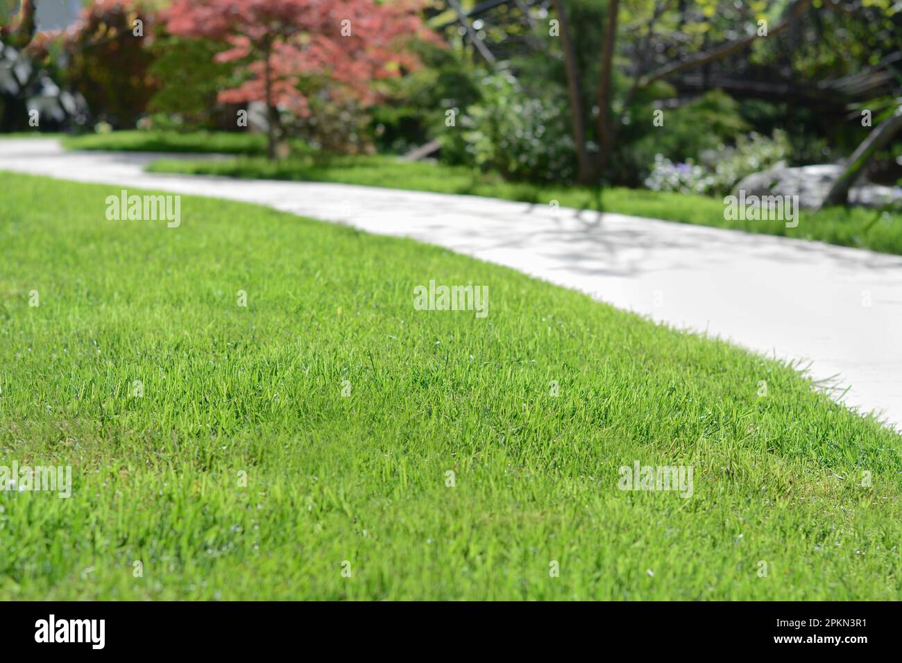 Beautiful park with plants and walkway, focus on green grass Stock ...