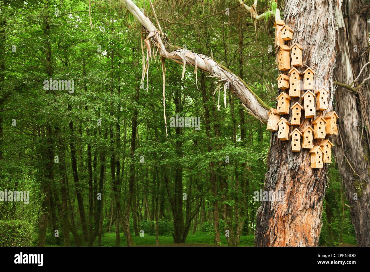 Many georgian houses hi res stock photography and images Alamy
