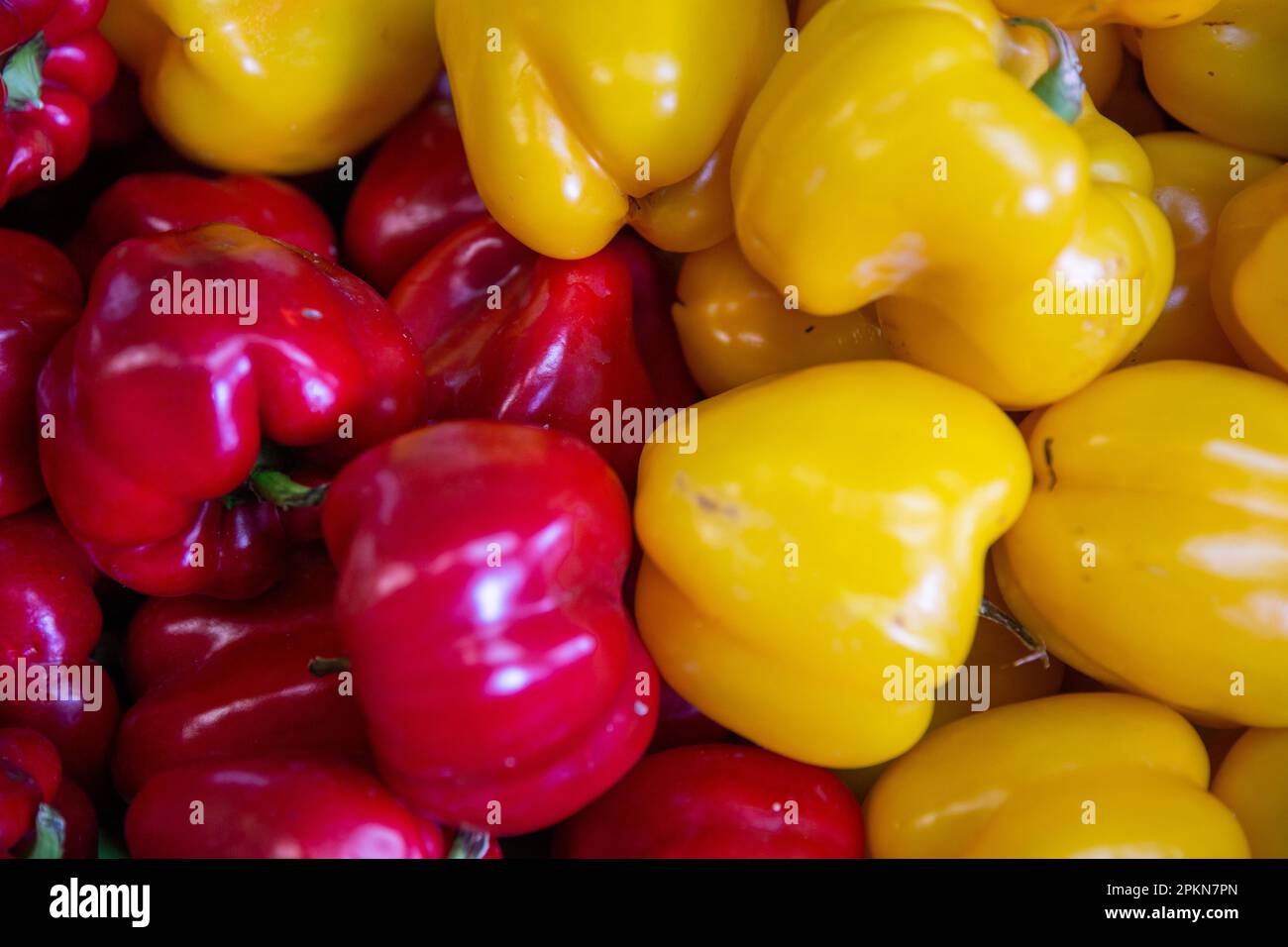 Red and Yellow Bell pepper background Stock Photo - Alamy