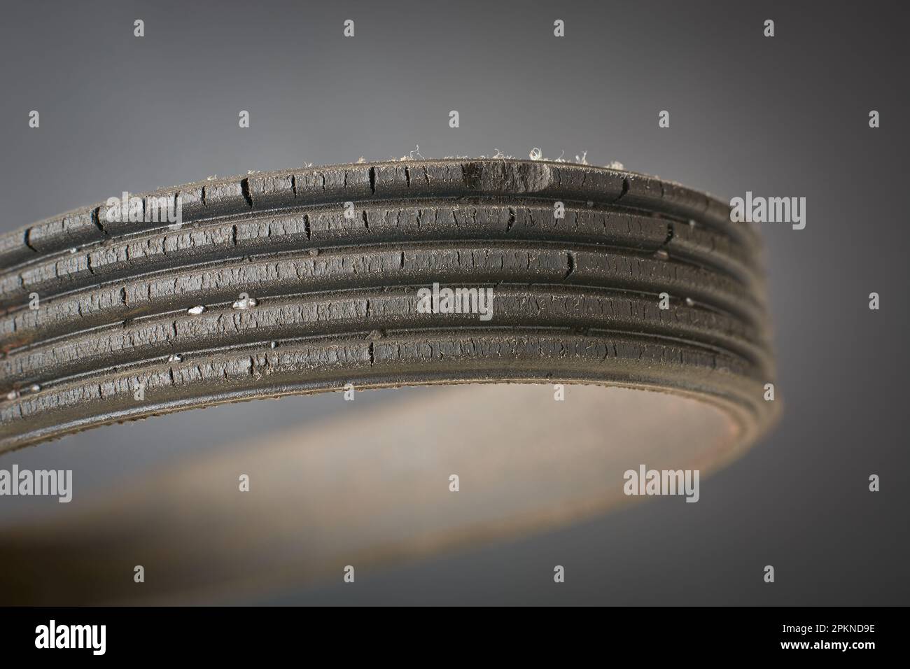 closeup of old used and worn out vehicle drive belt, isolated on gray