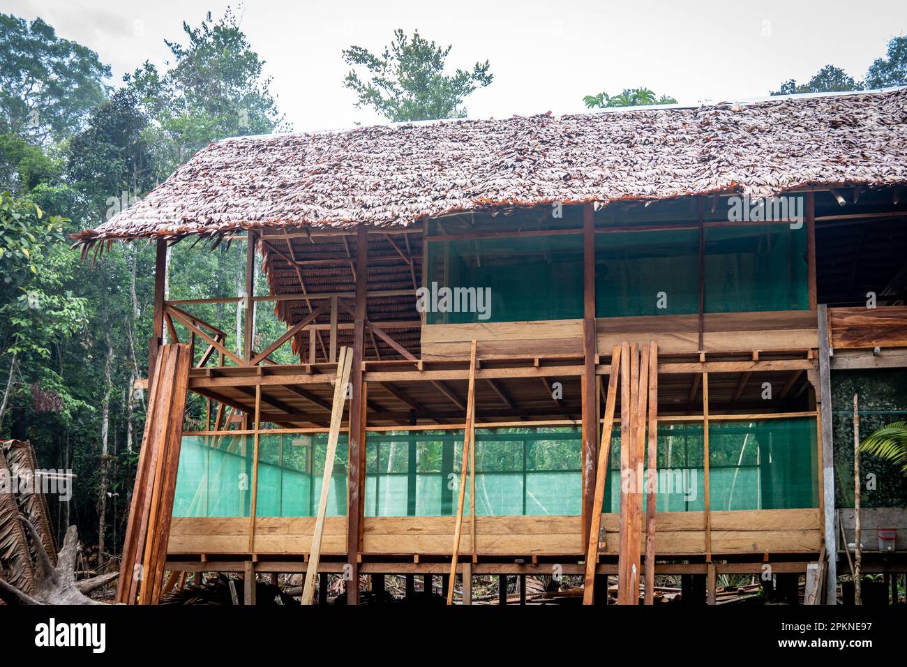 A Jungle Lodge deep in the Rainforest serves as a place for Ayahuasca ceremonies Stock Photo