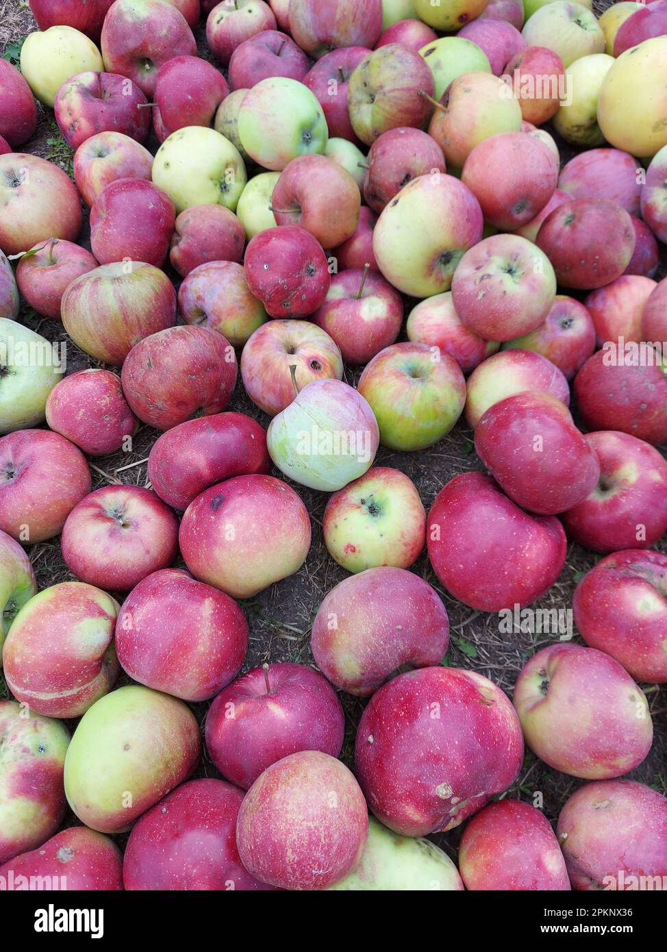 Various quantities hi-res stock photography and images - Alamy