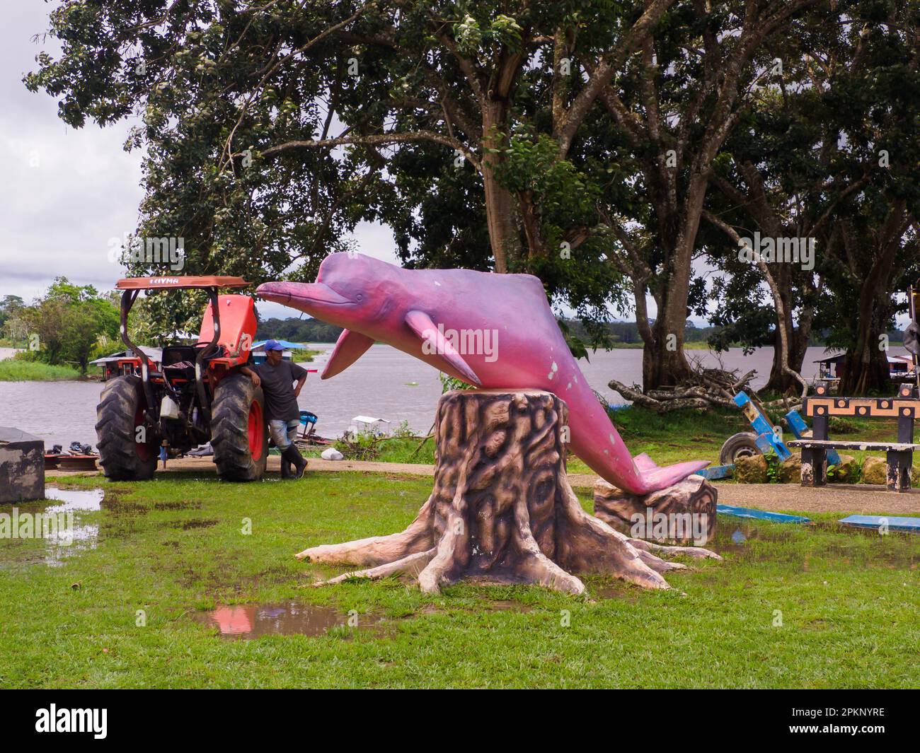 Puerto Nariño, Amazonas, Colombia  - December 2021: Pink dolphin statue in the city on the banks of  Amazon river the Puerto Narino. Amazonia, South A Stock Photo