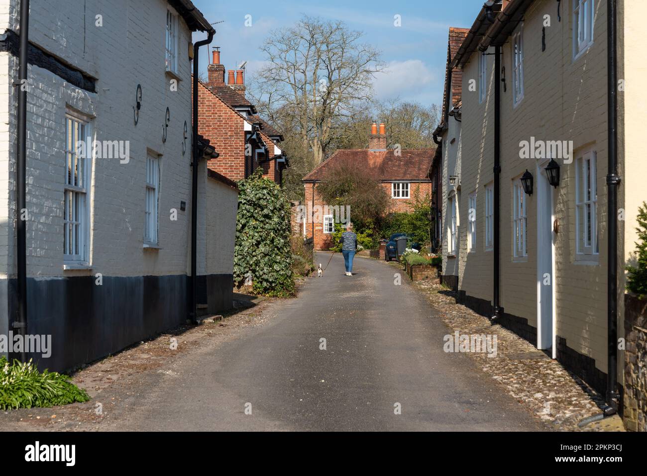 Woman walking a dog along a narrow lane in the Hampshire village of Hambledon. April 8th 2023. Stock Photo