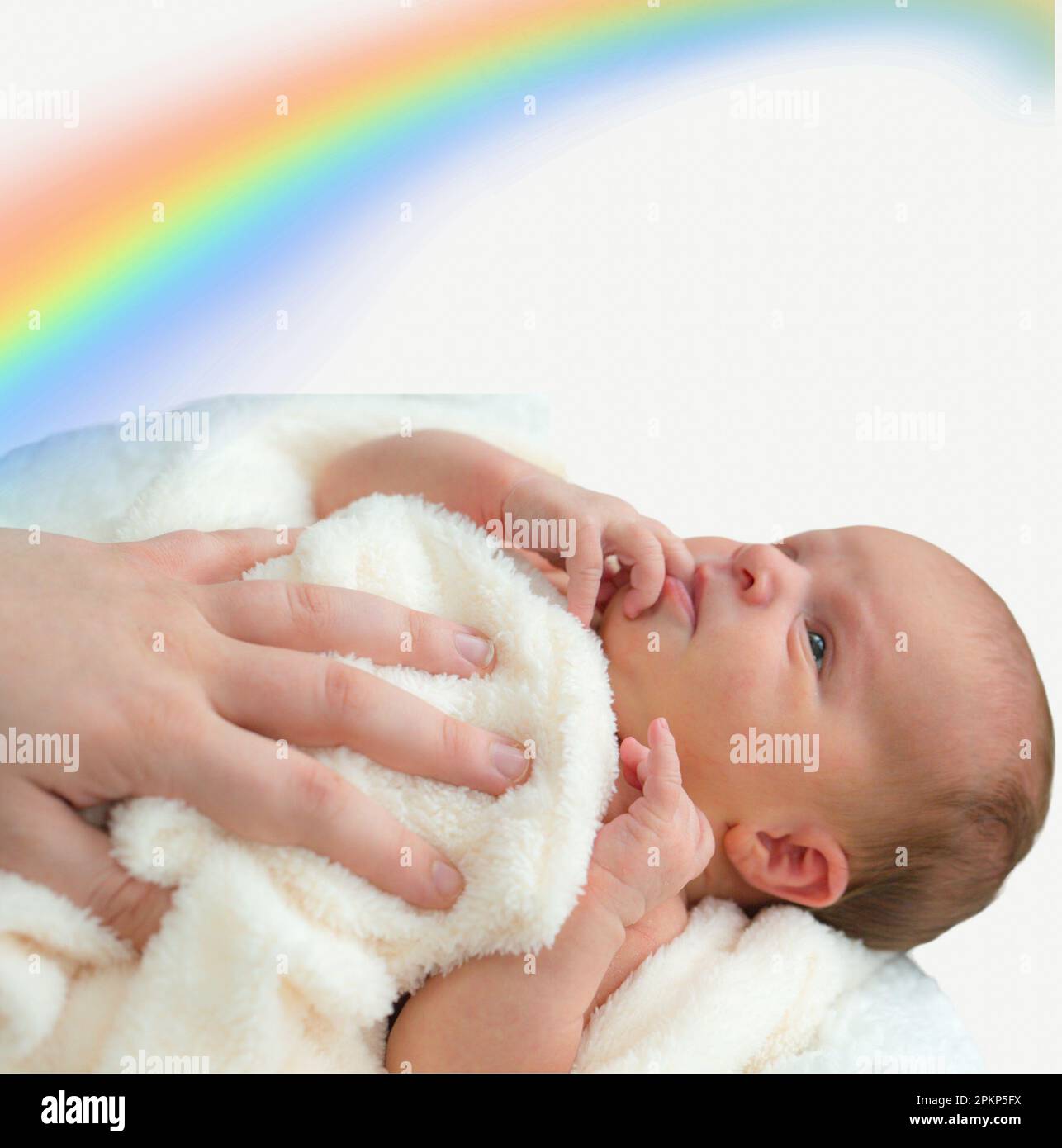 Newborn Baby Girl Swaddled in a blanket on a white background and a