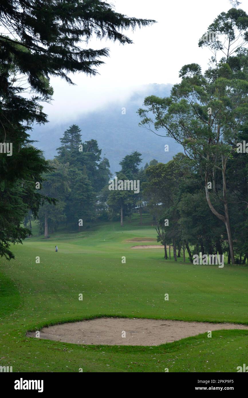 Golf Club, Nuwara Eliya, Sri Lanka, Asia Stock Photo Alamy