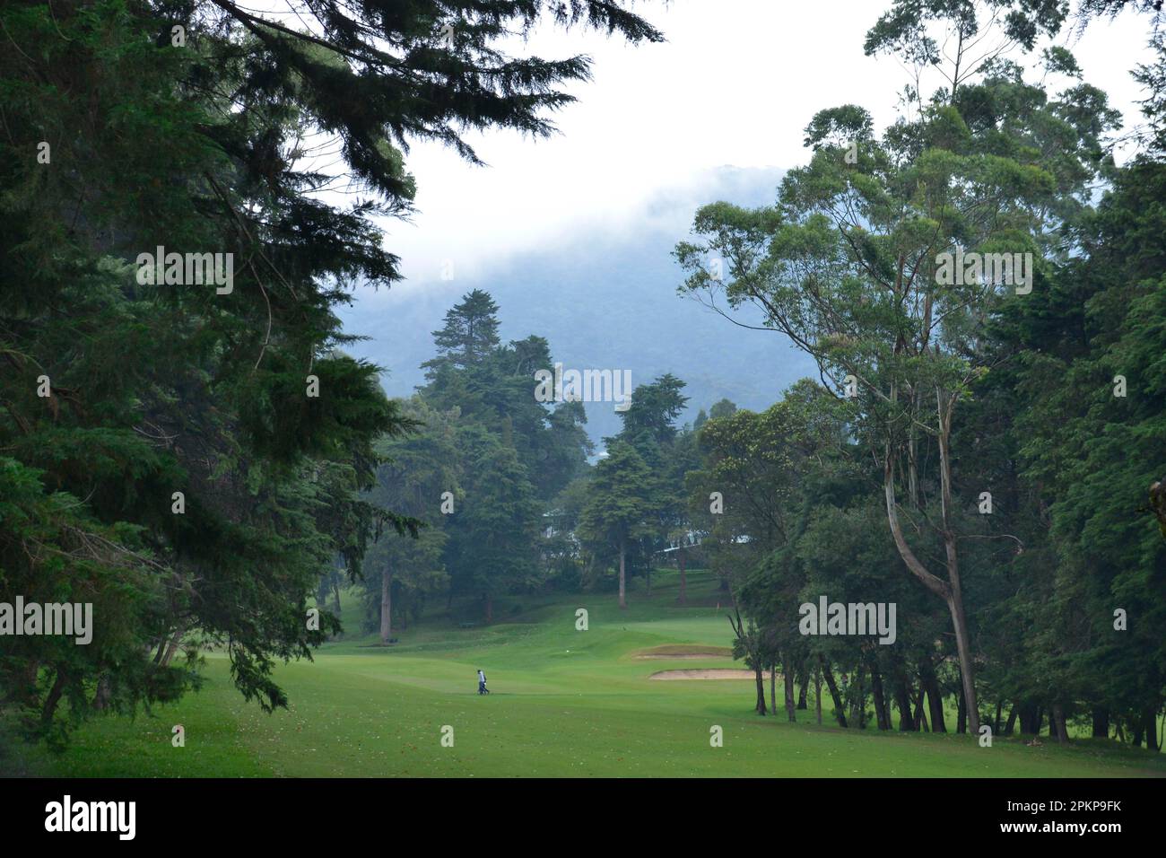 Golf Club, Nuwara Eliya, Sri Lanka, Asia Stock Photo Alamy