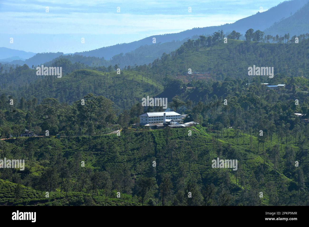 Tea factory, Ella, Sri Lanka, Asia Stock Photo Alamy