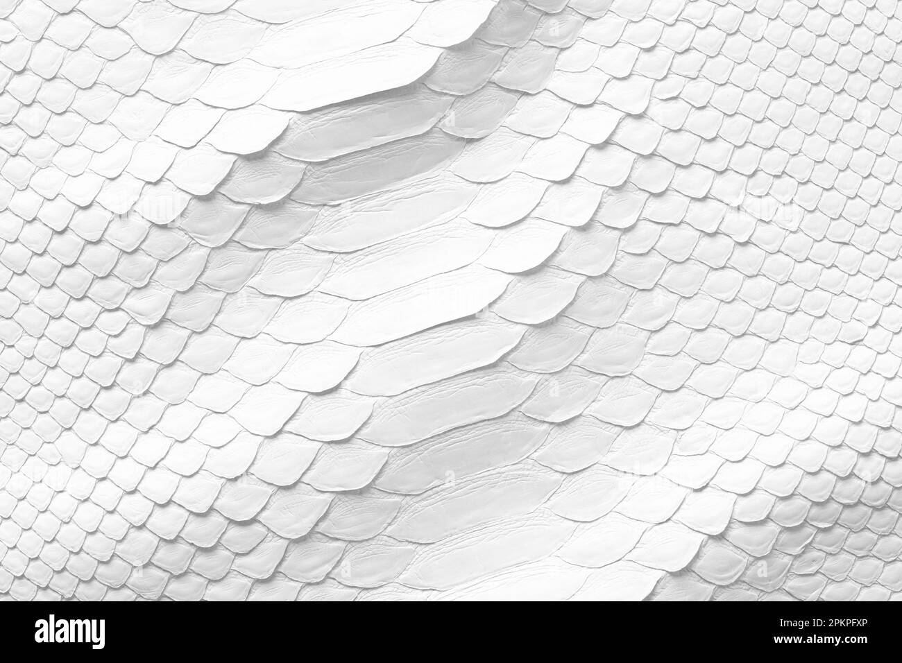 natural snake skin texture, white leather background Stock Photo