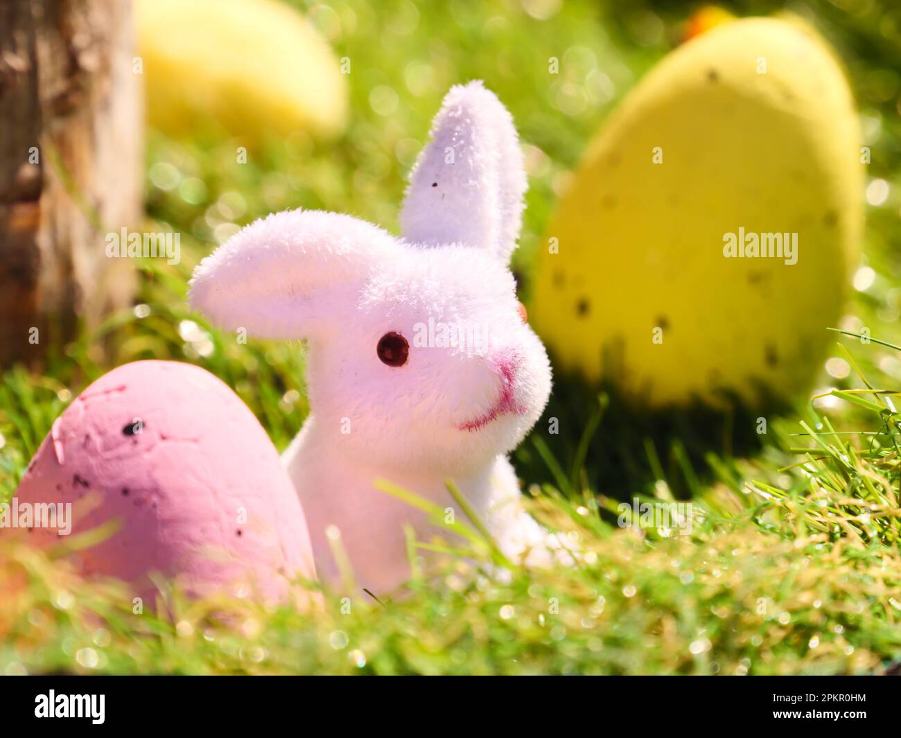 Happy Easter season with spring and cute toy bunny , yellow and pink eggs in Mosonmagyarovar , Hungary . Easter egg hunt in the beautiful garden Stock Photo