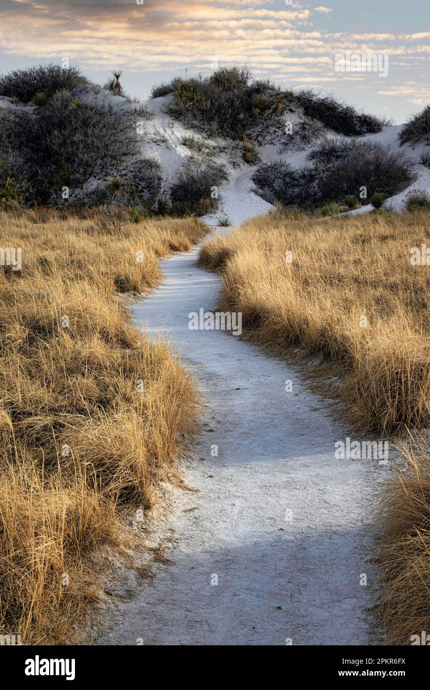 A path of sand leads to the dunes of White Sands National Park in New Mexico. Stock Photo