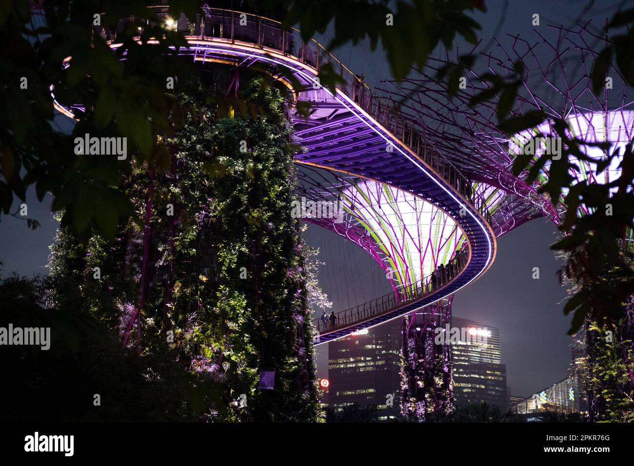 Nightscape @ Garden by the Bay Stock Photo