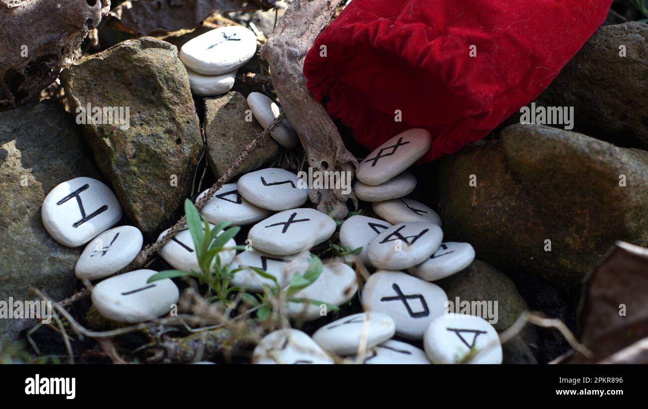 A set of runes with the claw of a mummified marten in between Stock ...
