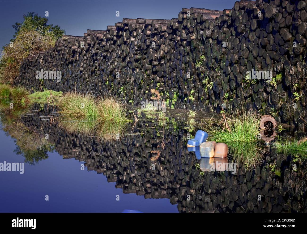 The Woodside Saw Mill at Coldstream village near the Bloukrans Pass