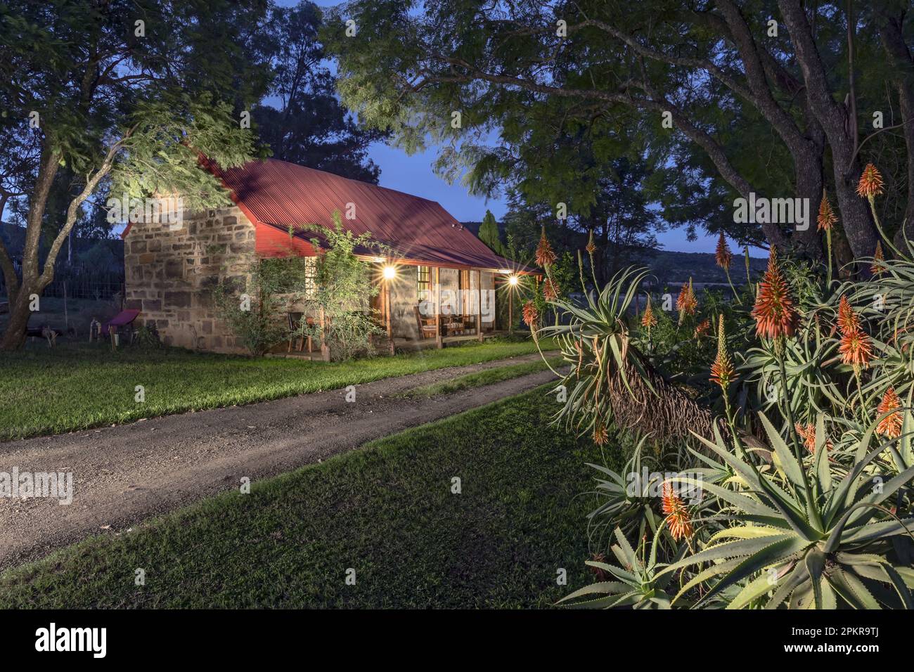 The guest cottage on Norwood farm surrounded by JacarandaTrees, shrubs and Aloes. Stock Photo