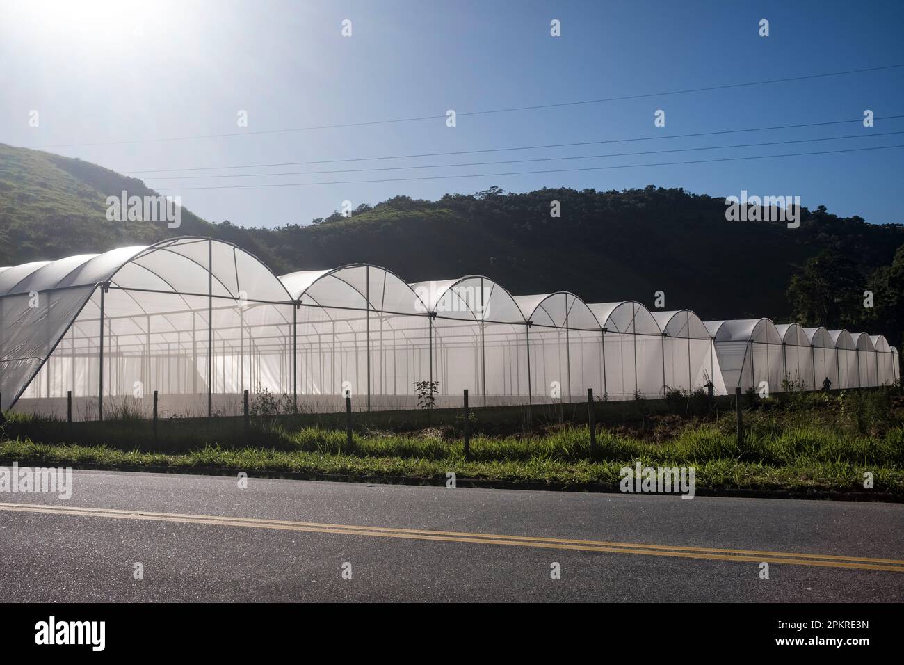 Greenhouse made of polycarbonate rigid plastics for regulating climatic conditions, such as temperature and humidity - the interior is exposed to sunlight, which rises the internal temperature for sheltering the plants from cold weather. Cachoeiras de Macacu, Rio de Janeiro, Brazil. Stock Photo