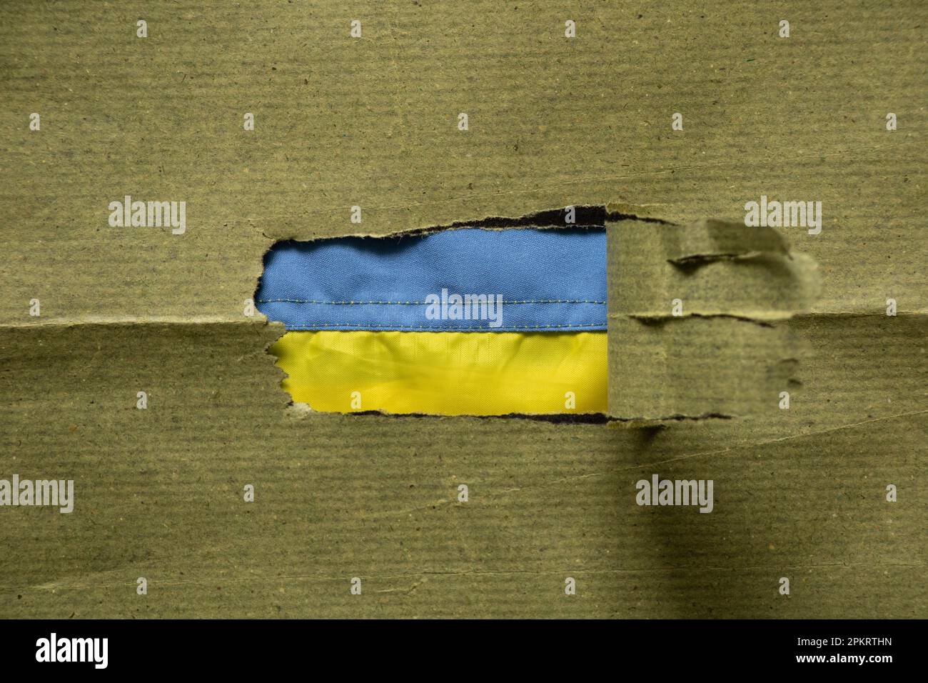 Torn green paper and the flag of Ukraine is visible in the hole as a background Stock Photo