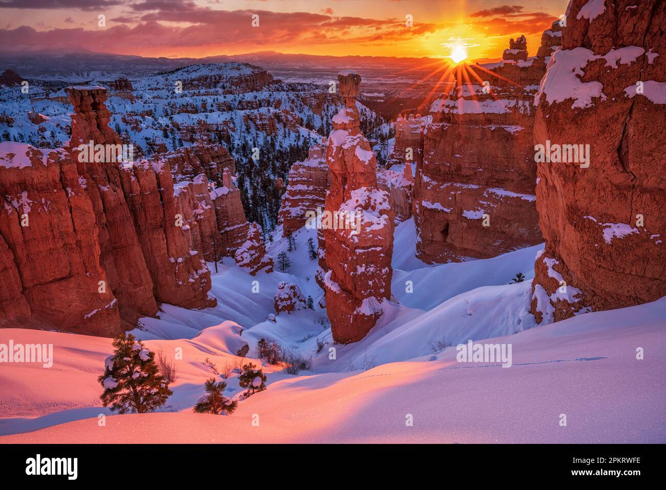 Winter sunrise over Thor’s Hammer in Bryce Canyon National Park in Utah Stock Photo