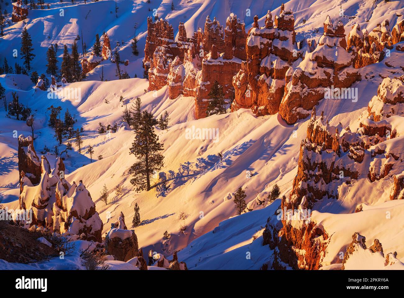 Hoodoos glow in sunrise light at Sunset Point in Bryce Canyon National Park in Utah Stock Photo