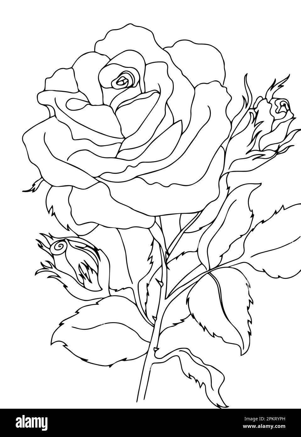 Black and white outline vector coloring book page for adults and children. Flowers roses with thorns and leaves Stock Vector