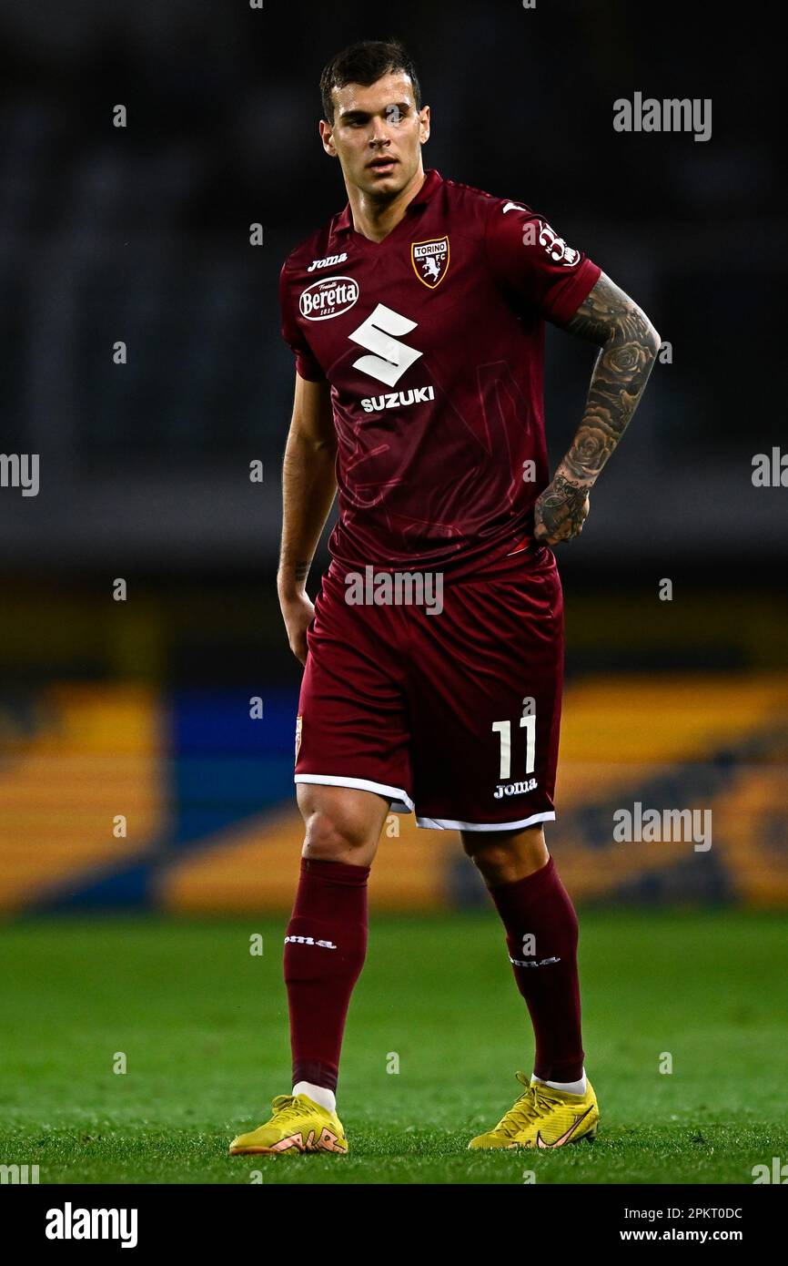 TORINO FC Squad Season 2023/24, Torino FC