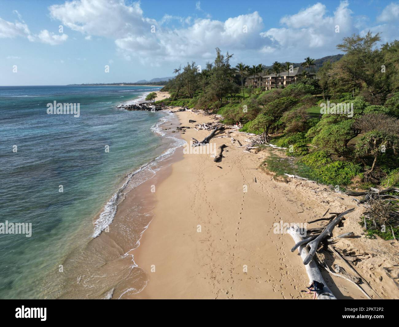 An aerial view of a beach surrounded by the sea and greenery under a ...