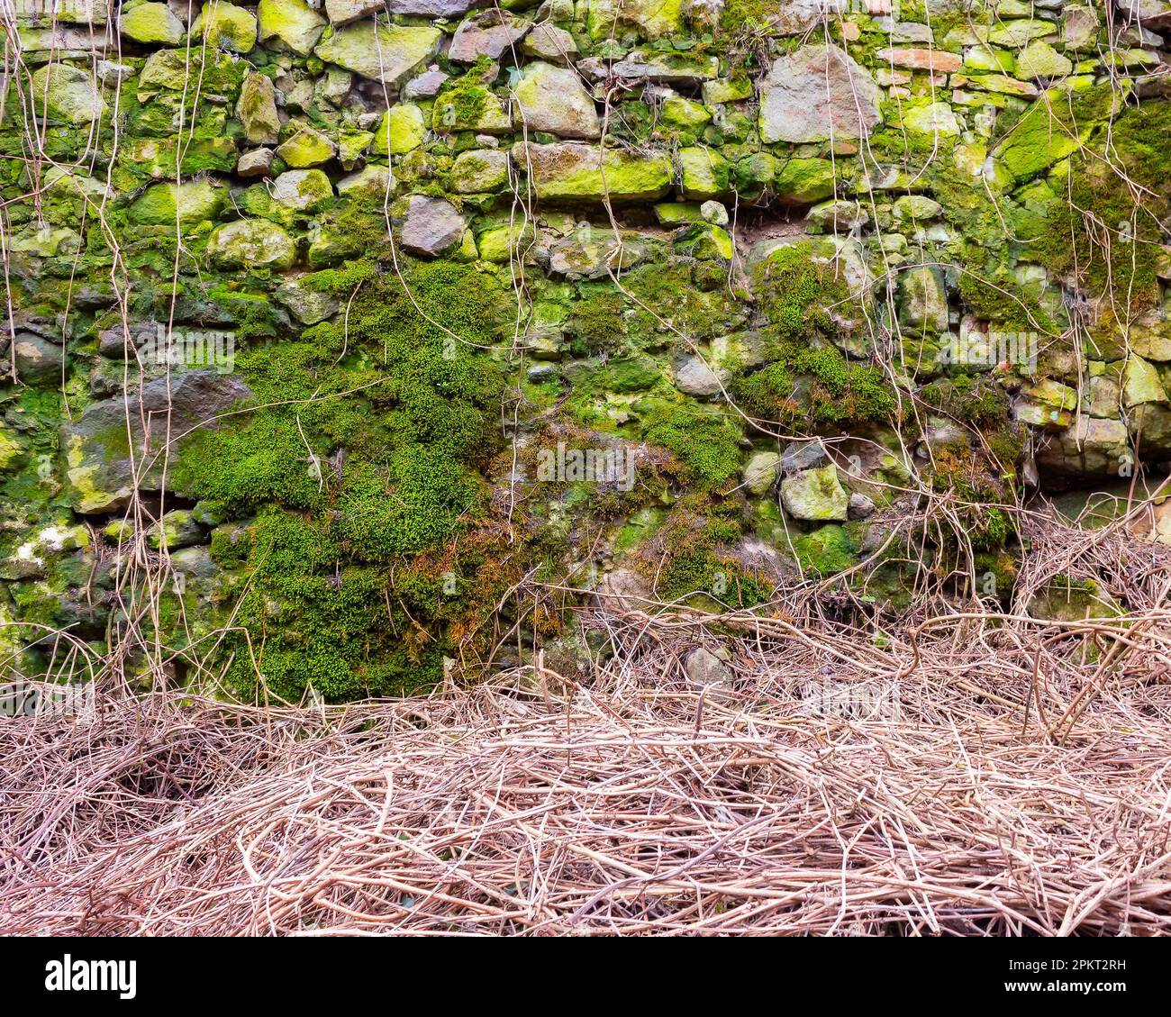 vintage stone masonry. ancient architectural background Stock Photo