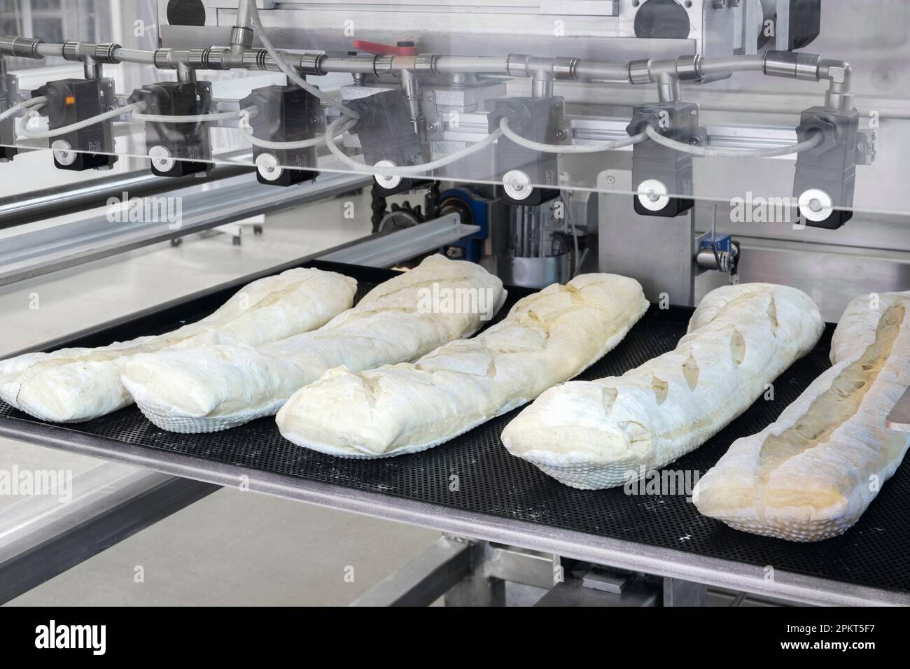 A lot of readymade fresh bread in a bakery oven in a bakery. Bread