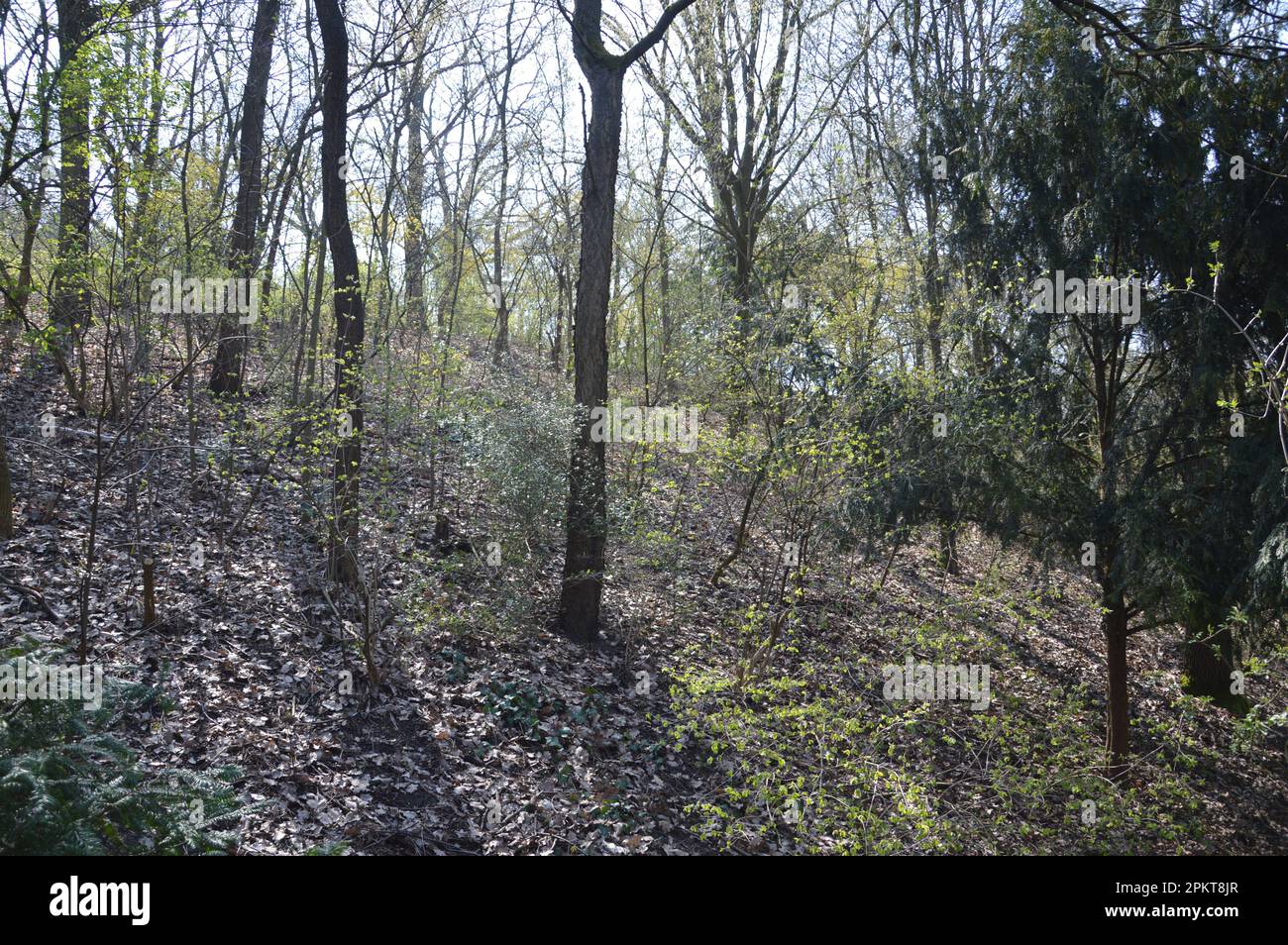 Berlin, Germany - April 9, 2023 - Rixdorfer Höhe in Volkspark Hasenheide in Neukölln. (Photo by Markku Rainer Peltonen) Stock Photo