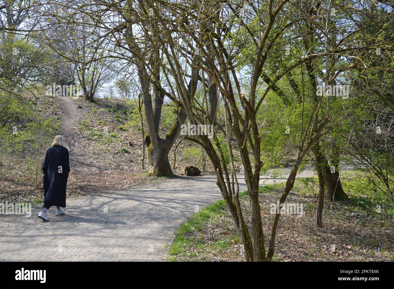 Berlin, Germany - April 9, 2023 - Rixdorfer Höhe in Volkspark Hasenheide in Neukölln. (Photo by Markku Rainer Peltonen) Stock Photo