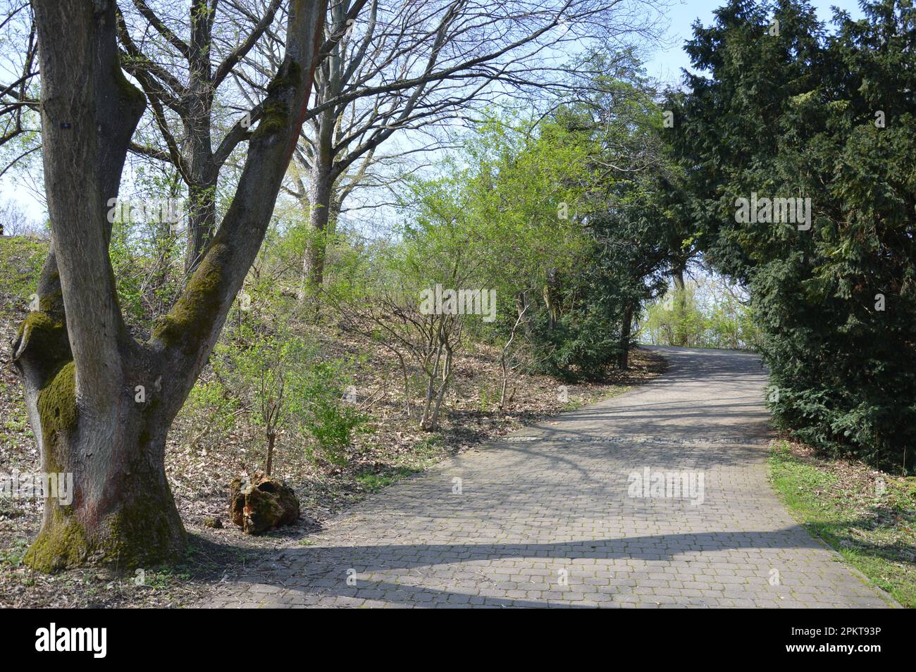 Berlin, Germany - April 9, 2023 - Rixdorfer Höhe in Volkspark Hasenheide in Neukölln. (Photo by Markku Rainer Peltonen) Stock Photo