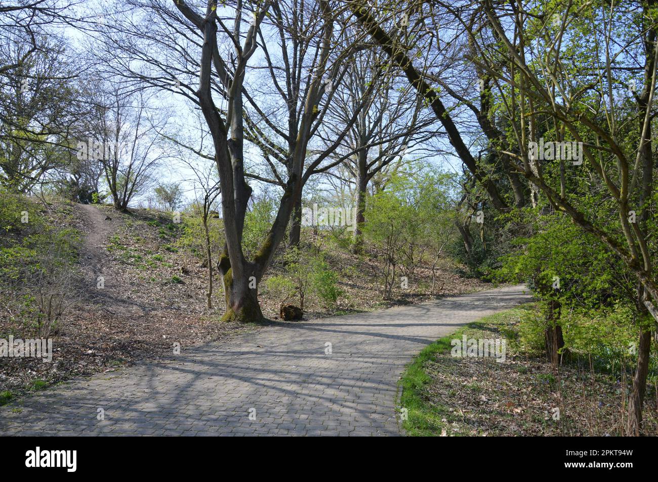 Berlin, Germany - April 9, 2023 - Rixdorfer Höhe in Volkspark Hasenheide in Neukölln. (Photo by Markku Rainer Peltonen) Stock Photo